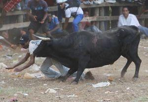 391968_306892576015459_206466276058090_890314_221913484_n