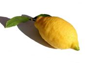 Limoncello approche perfection (étape
