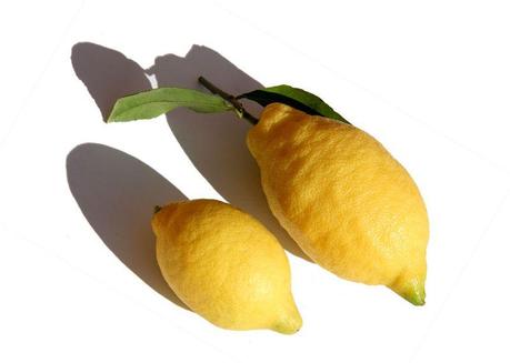 Citron amalfi et fino