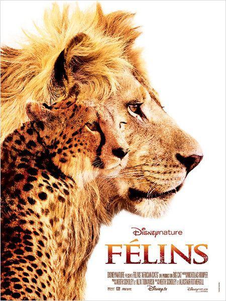 Critique cinéma : Félins