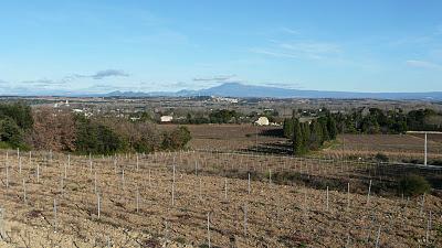 Un vrai janvier printanier...