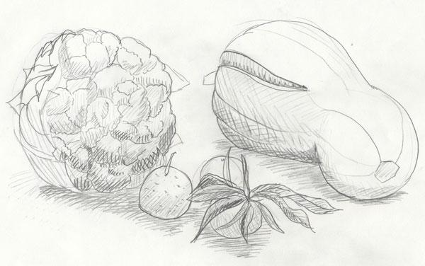 Une courge au coeur tendre ?
