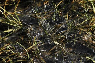 Taillancourt : de l'eau