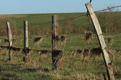 Taillancourt : de l'eau