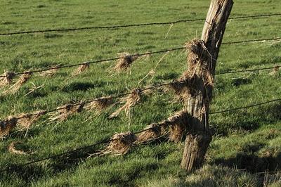 Taillancourt : de l'eau