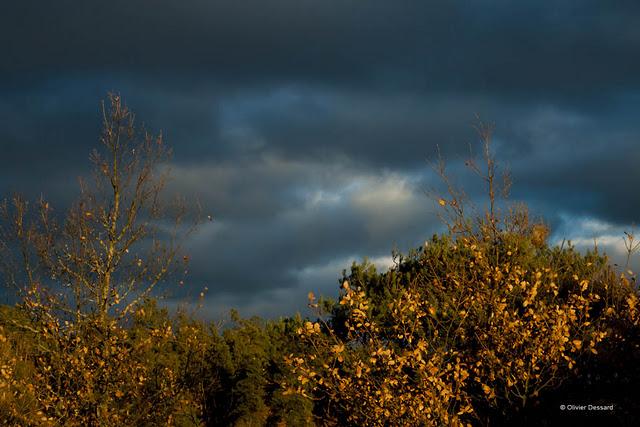 Lumière d'hiver sous un ciel orageux en Haute-Loire