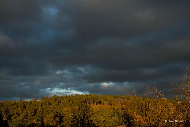 Lumière d'hiver sous un ciel orageux en Haute-Loire