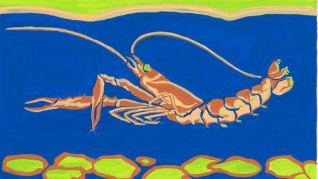 Langoustines poêlées au Mycryo langoustine1 - copie