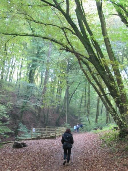 En marchant, découvrir une contrée et…