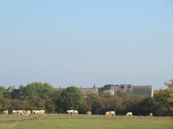 En marchant, découvrir une contrée et…