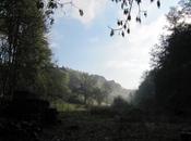 marchant, découvrir contrée