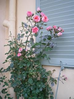 Profitons du calme plat de l’hiver et d'un crachin bien é...