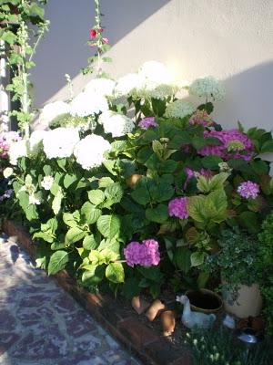 Profitons du calme plat de l’hiver et d'un crachin bien é...