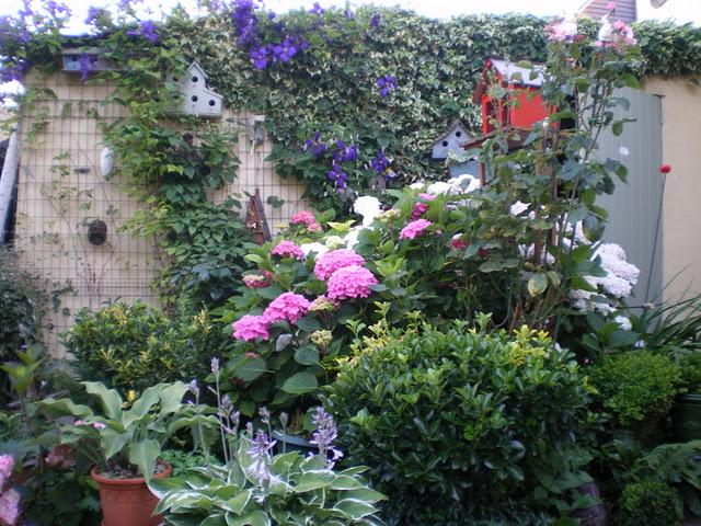 Profitons du calme plat de l’hiver et d'un crachin bien é...