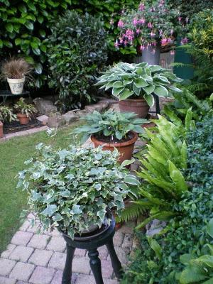 Profitons du calme plat de l’hiver et d'un crachin bien é...