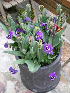 Profitons du calme plat de l’hiver et d'un crachin bien é...