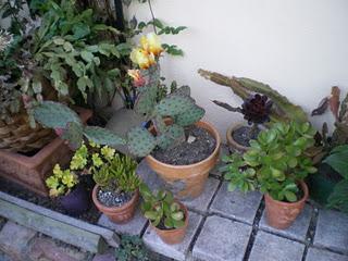 Profitons du calme plat de l’hiver et d'un crachin bien é...