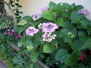 Profitons du calme plat de l’hiver et d'un crachin bien é...