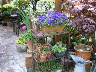 Profitons du calme plat de l’hiver et d'un crachin bien é...