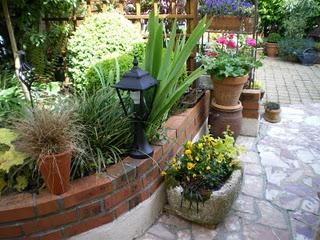 Profitons du calme plat de l’hiver et d'un crachin bien é...