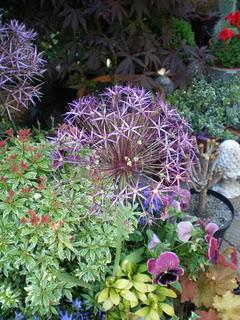 Profitons du calme plat de l’hiver et d'un crachin bien é...