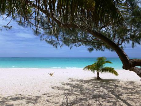 Ah le Paradis d’Ouvéa, hôtel de luxe vous dites ?