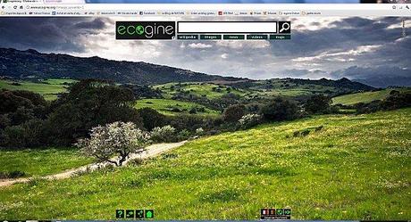 Ecogine... Le 'google' version écolo ;-)) Capture01
