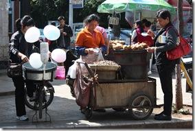 Yunnan2011_1898