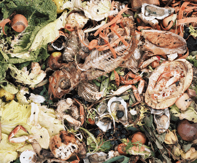 Pourri, une autre vision du compostage
