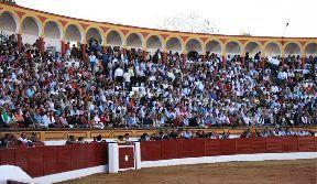 th_OLIVENZA_-WEB-11-3-2011