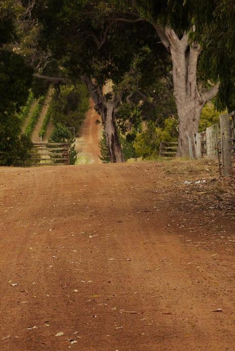 Nous ne sommes pas morts...