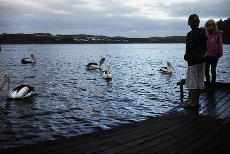 Nous ne sommes pas morts...