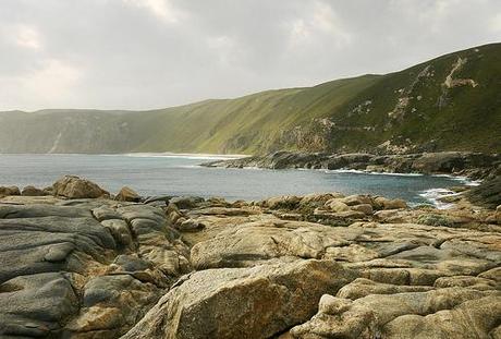 Nous ne sommes pas morts...