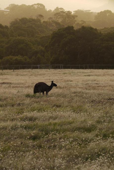 Nous ne sommes pas morts...