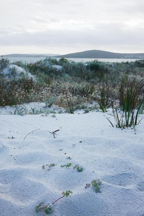 Nous ne sommes pas morts...