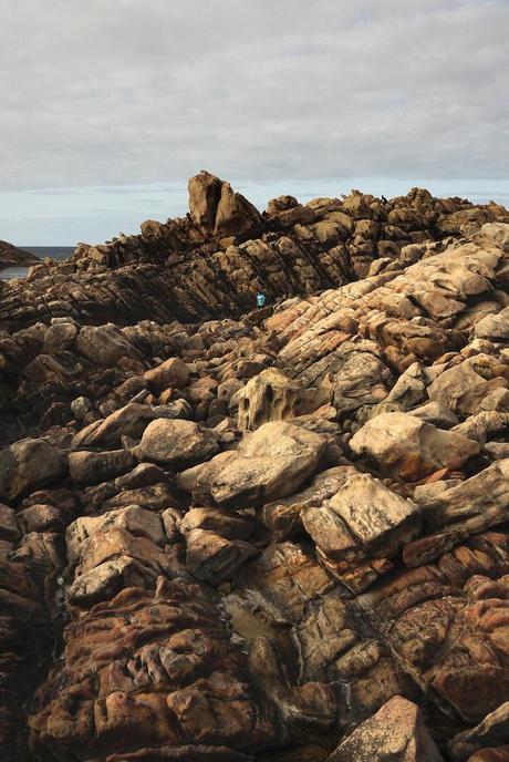 Nous ne sommes pas morts...