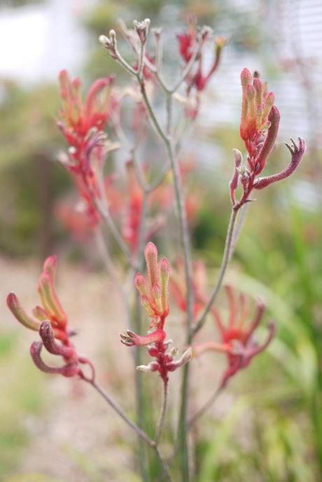 Nous ne sommes pas morts...