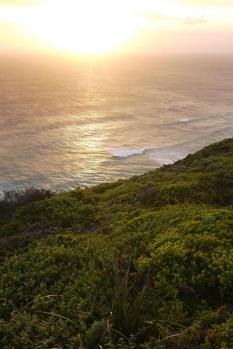 Nous ne sommes pas morts...