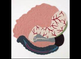 Tendance design 2012Â : beau comme un cerveau