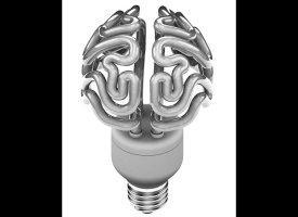 Tendance design 2012Â : beau comme un cerveau