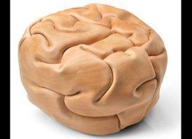 Tendance design 2012Â : beau comme un cerveau