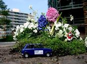 guerrilla gardening version miniature