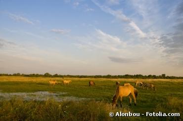 Biodiversité : deuxième édition des grands prix Natura 2000