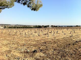 Se lever, et penser que demain sera pire qu'aujourd'hui...