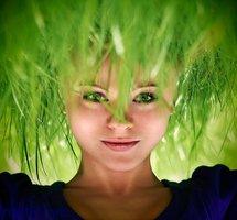 La disparition de Megaupload casse les prix des films X...