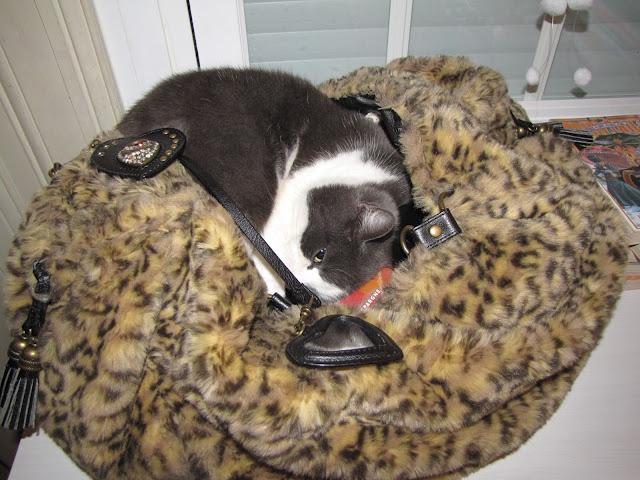 Pourquoi j'arrive en retard au travail