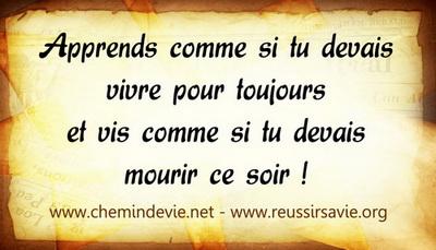 apprendre1 resize resize