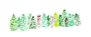 J'ai recrée une forêt avec les sapins abandonnés de mon quartier