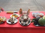 janvier 2012: Offrandes l’Eléphant Blanc.