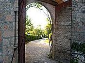 Avancer malgré tout